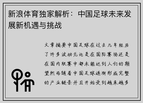 新浪体育独家解析：中国足球未来发展新机遇与挑战